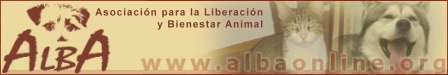 albaonline.org