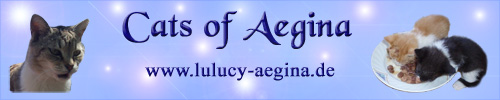 lulucy-aegina.de